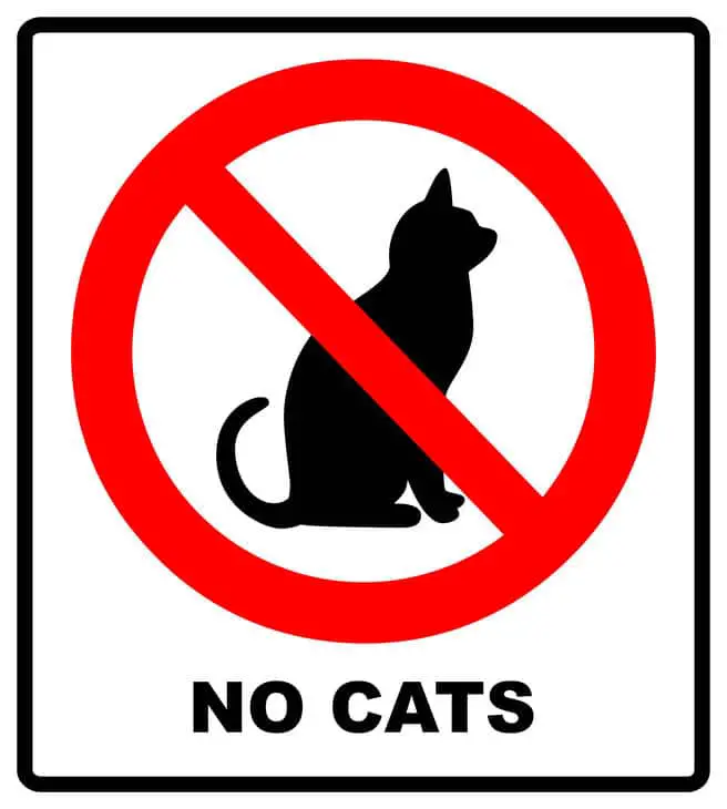 no cat area