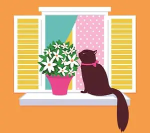 cat on window sill smelling flowers