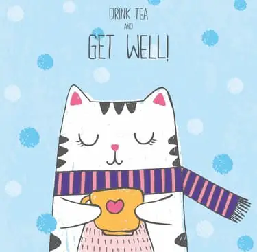 get well soon cat