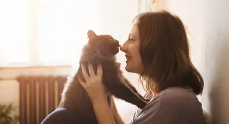 woman playing with cat
